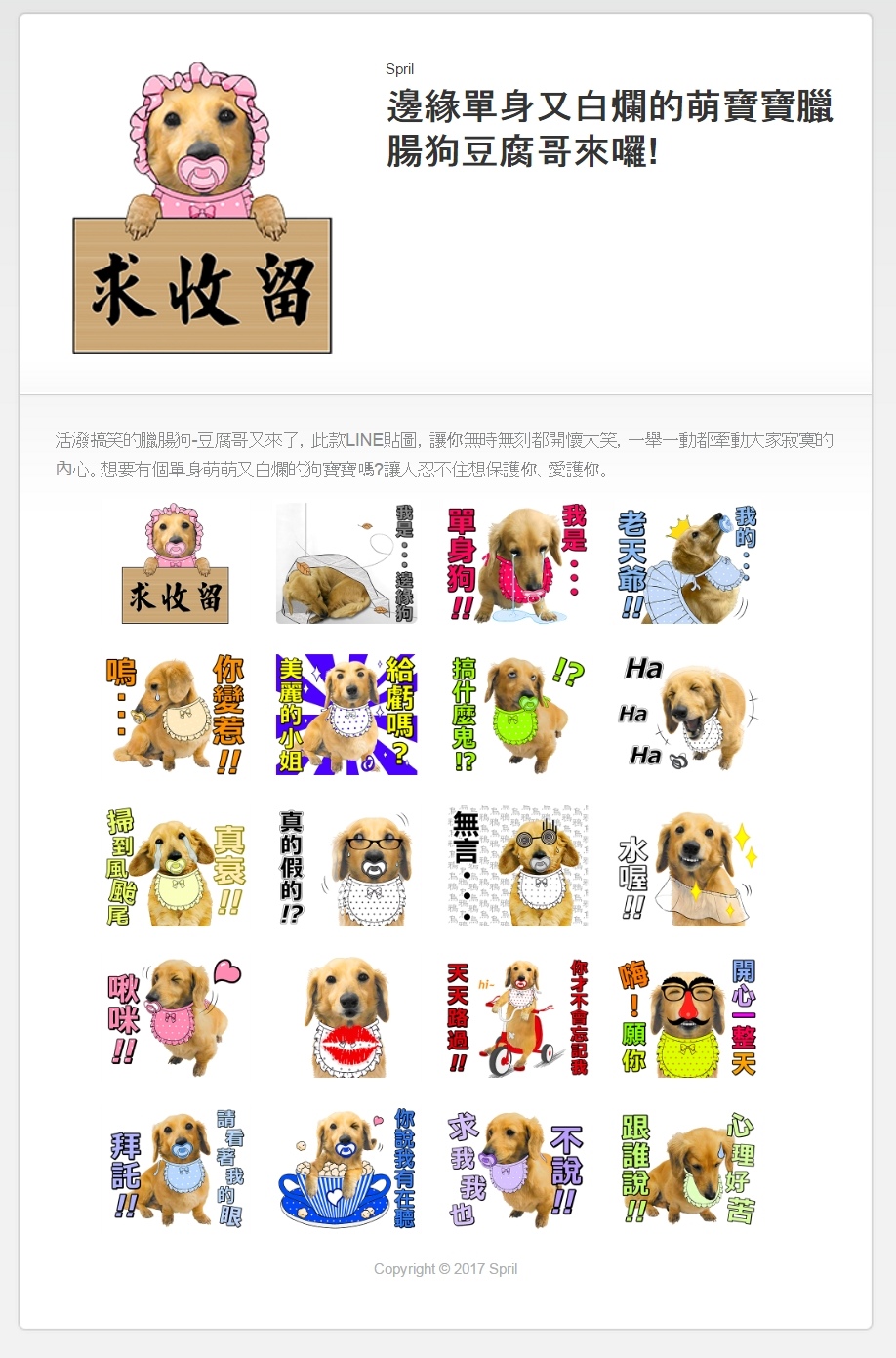 萌寶寶臘腸狗豆腐哥 萌寶寶臘腸狗豆腐哥