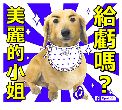 美麗的小姐給虧嗎 美麗的小姐給虧嗎