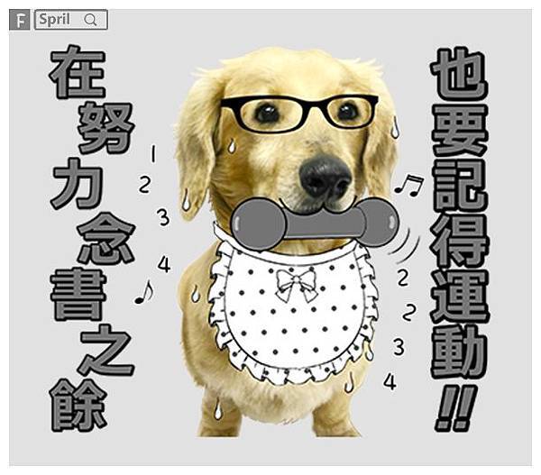 萌寶寶臘腸狗豆腐哥 萌寶寶臘腸狗豆腐哥