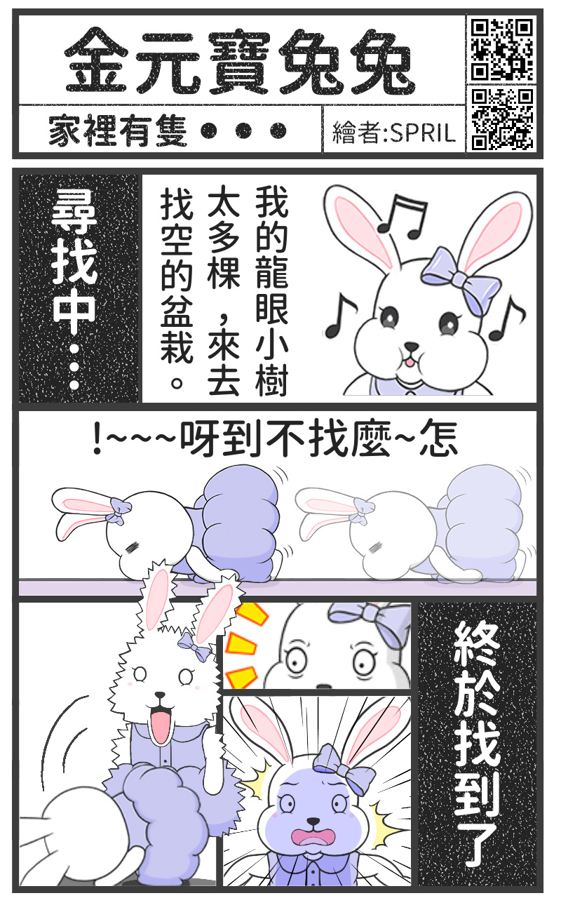 金元寶兔兔-家裡有一隻...