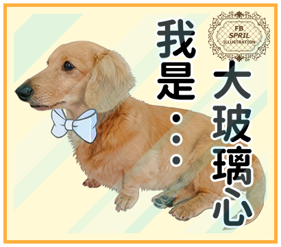 我是大玻璃心 我是大玻璃心