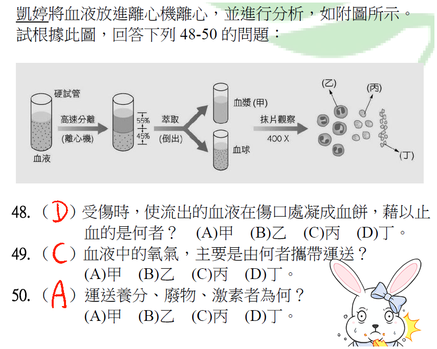 血液放進離心機離心