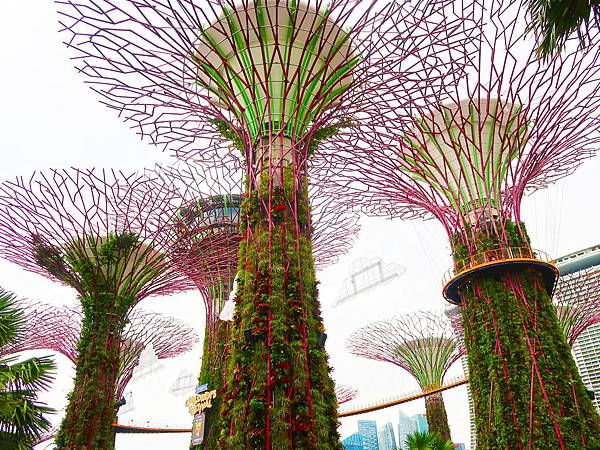 新加坡。最詳細的濱海灣花園路線、拍照景點推薦！