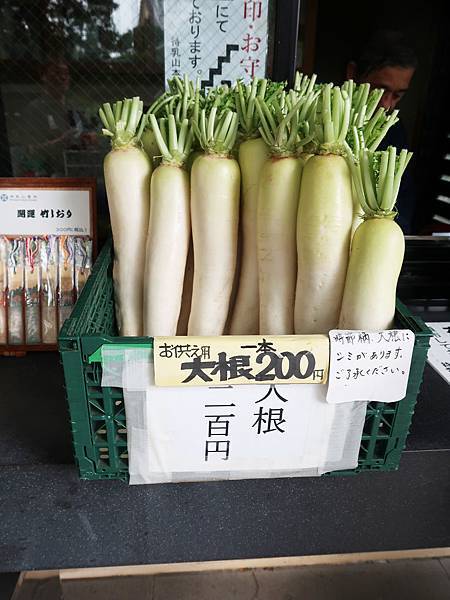 東京。淺草必去景點：雷門、淺草寺、待乳山聖天、今戶神社