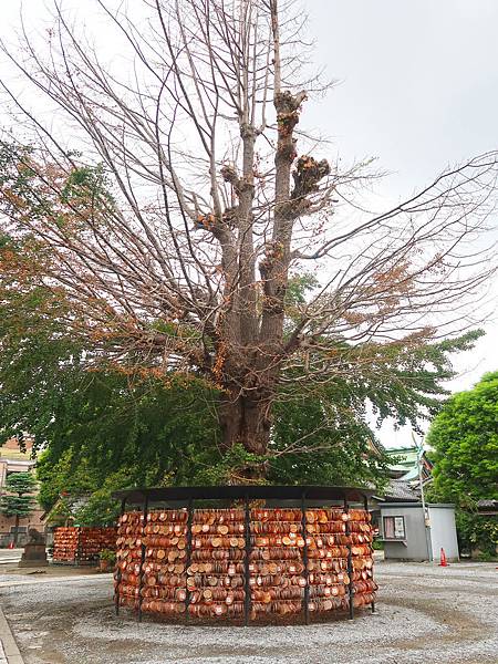 東京。淺草必去景點：雷門、淺草寺、待乳山聖天、今戶神社