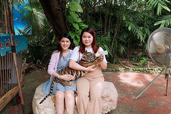泰國曼谷。適合親子旅遊的 Safari World 賽福瑞野