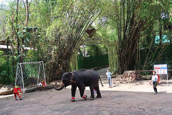 泰國曼谷。適合親子旅遊的 Safari World 賽福瑞野