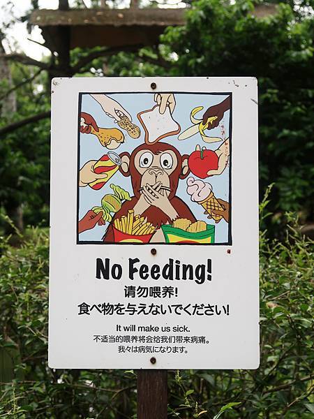 新加坡。親子遊的好去處『新加坡動物園』，超適合讓孩子來這寫學