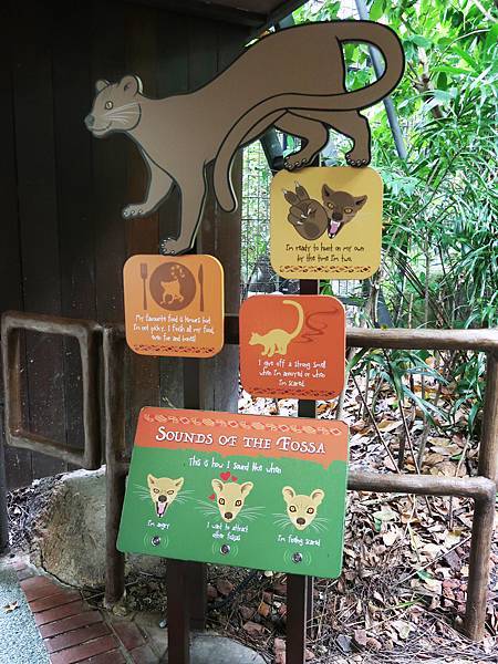 新加坡。親子遊的好去處『新加坡動物園』，超適合讓孩子來這寫學