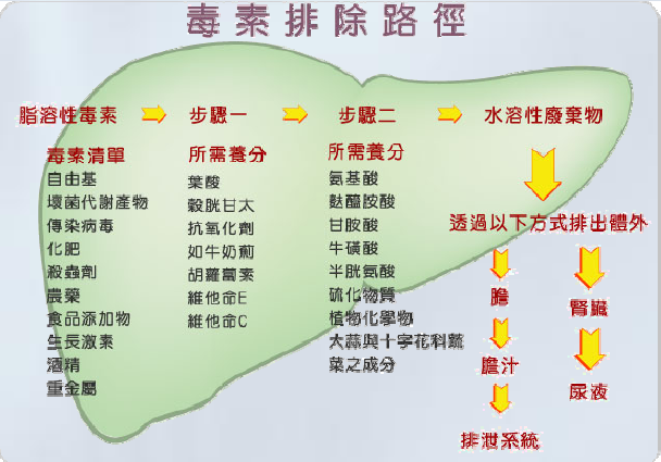 擷取1.PNG