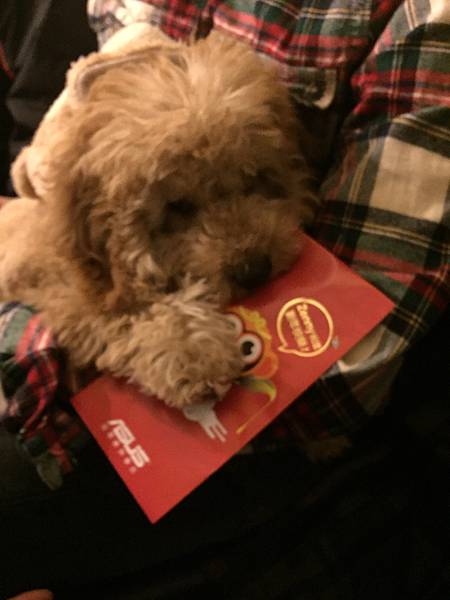 呆呆第一次領到紅包 丹丹 呆呆傻傻生活日記 痞客邦