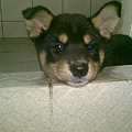 20091004(003).jpg