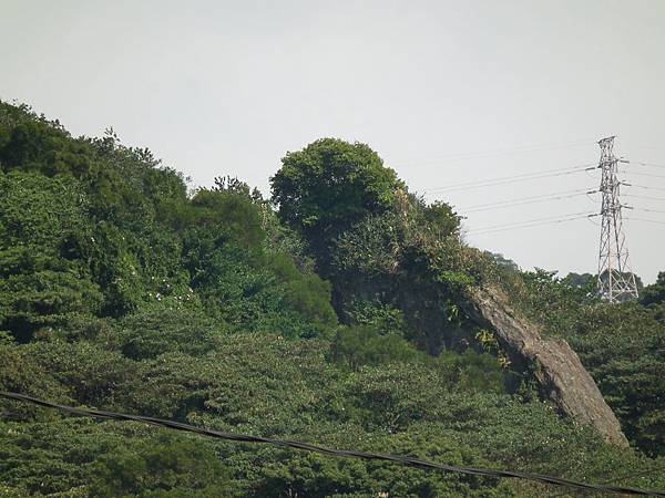 DSCF8908 DSCF8908