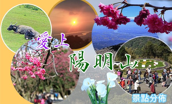 陽明山BANNER_fb.jpg