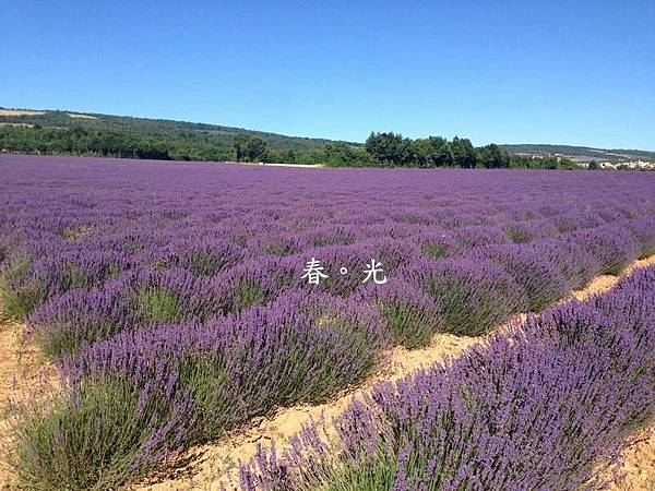 Valensole.jpg Valensole.jpg