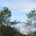 1111阿里山觀日出DSC_0559.JPG