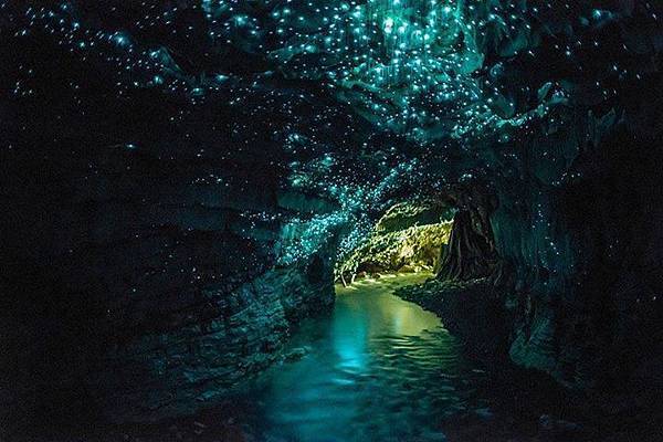 自然橋國家公園螢火蟲洞Glow Worm Cave