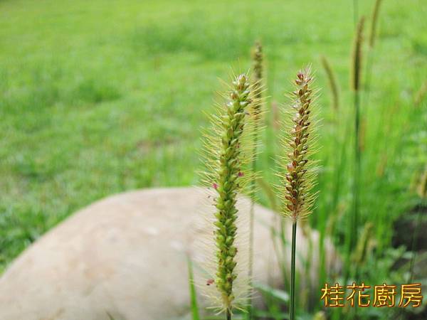 #SCN3678.JPG #SCN3678.JPG