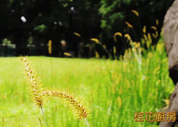 #SCN3721.JPG #SCN3721.JPG