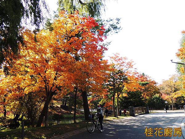DSCN6040.JPG DSCN6040.JPG