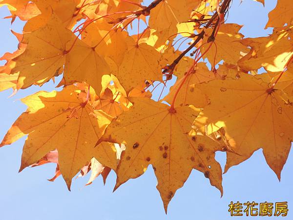 DSCN5933.JPG DSCN5933.JPG