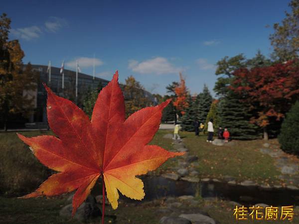 DSCN5937.JPG DSCN5937.JPG