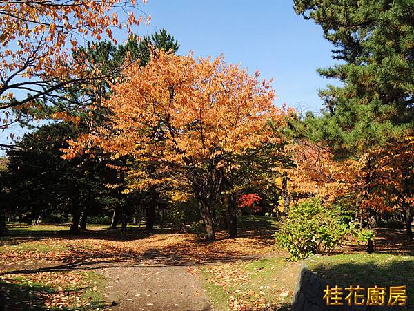 DSCN5953.JPG DSCN5953.JPG