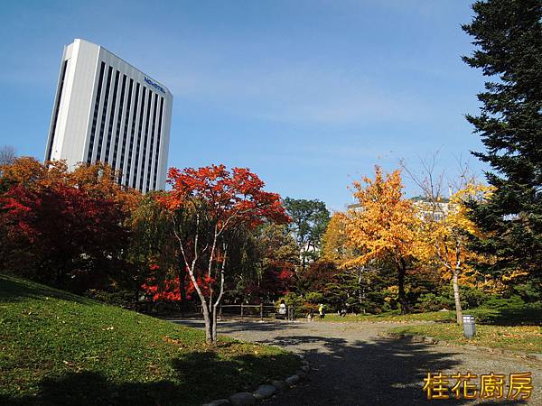 DSCN6018.JPG DSCN6018.JPG