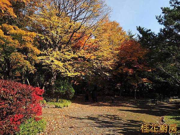 DSCN5999.JPG DSCN5999.JPG