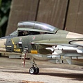 F14A-6.jpg