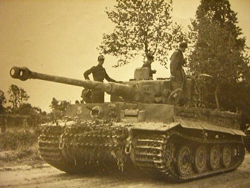 Tiger I Initial Africa -9.jpg