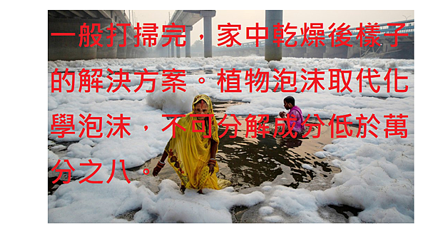 植物泡沫取代化學泡沫.png 植物泡沫取代化學泡沫.png