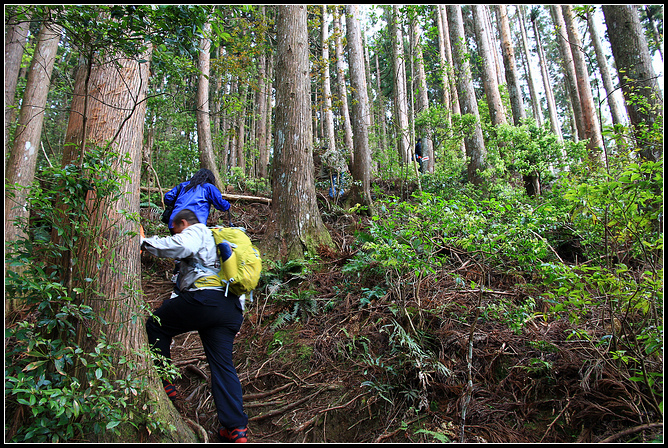 野馬瞰山_014.JPG