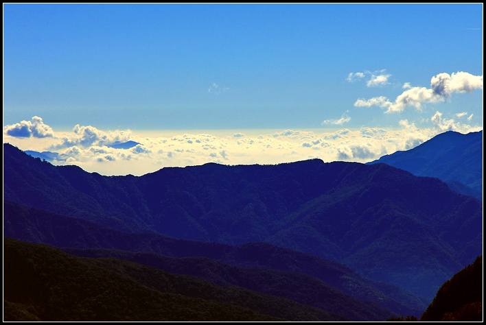 鹿林山+麟趾山71.jpg