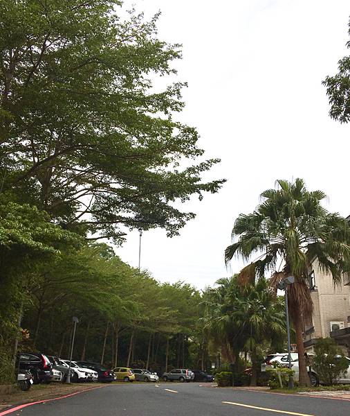 2023/10/8遊狗寵物游泳池咖啡廳 2023/10/8遊狗寵物游泳池咖啡廳