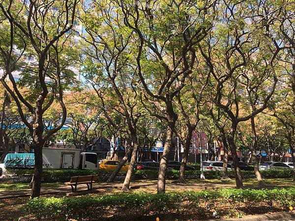 2023/11/2秋景不蕭瑟 %E6%9C%AA%E5%91%BD%E5%90%8D