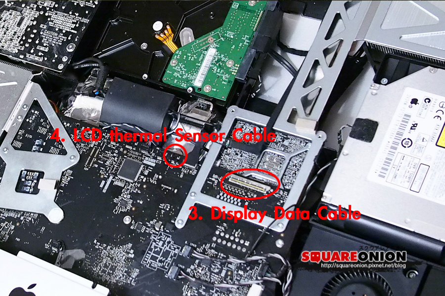 CarolSungPhotography-4300439b.jpg CarolSungPhotography-4300439b.jpg