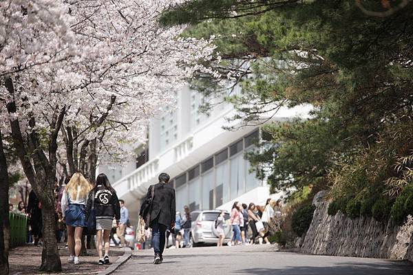 성균관10