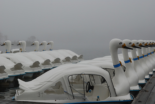 DSC_0081.JPG DSC_0081.JPG
