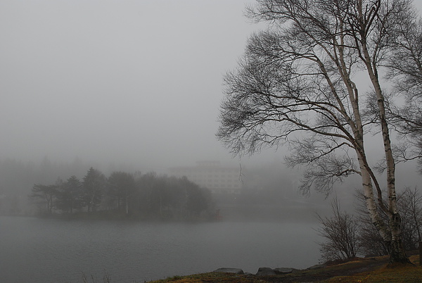DSC_0085.JPG DSC_0085.JPG