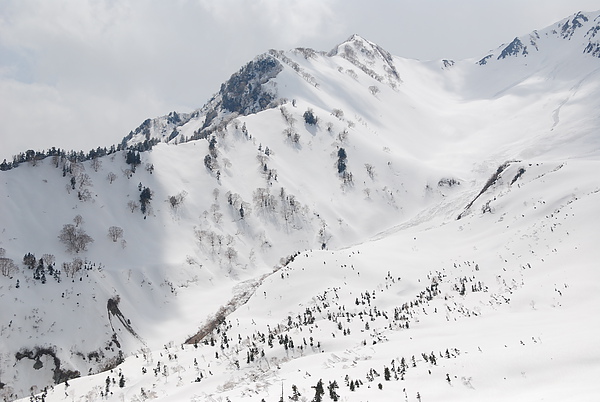 DSC_0255.JPG DSC_0255.JPG