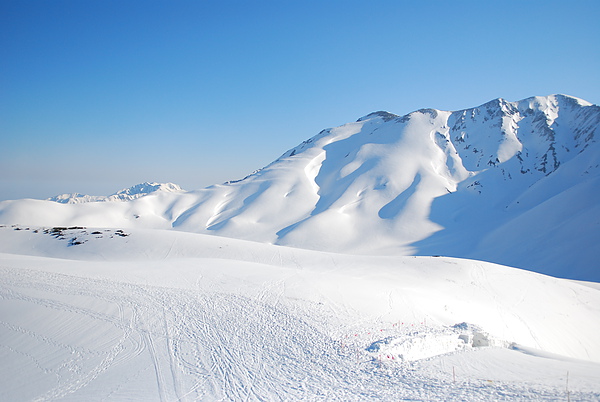 DSC_0502.JPG DSC_0502.JPG