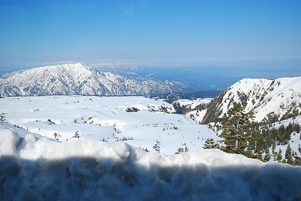 DSC_0594.JPG DSC_0594.JPG
