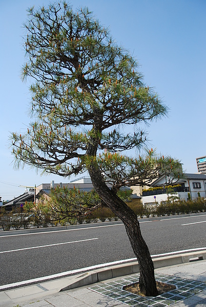 DSC_0758.JPG DSC_0758.JPG