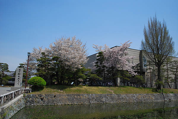 DSC_0880.JPG DSC_0880.JPG