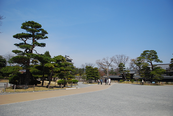 DSC_0877.JPG DSC_0877.JPG