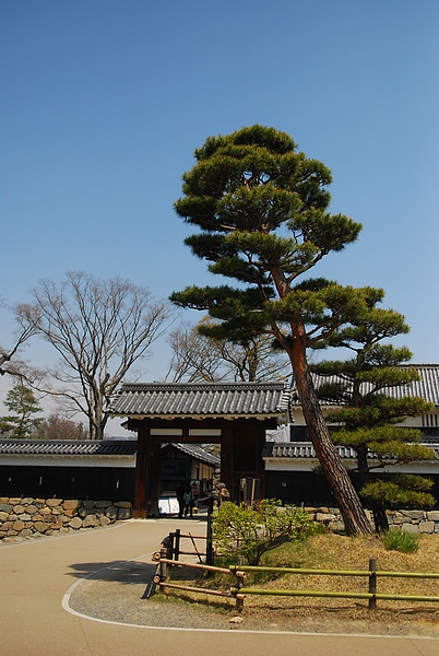DSC_0873.JPG DSC_0873.JPG