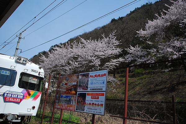 DSC_0947.JPG DSC_0947.JPG