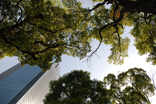 DSC_0110.JPG DSC_0110.JPG