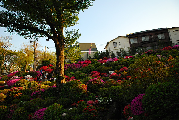 DSC_0224.JPG DSC_0224.JPG
